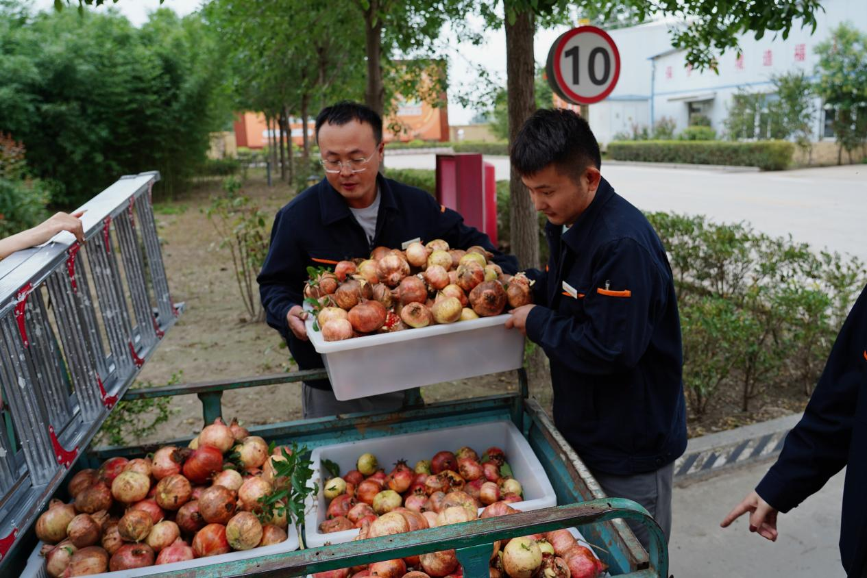 首页- 尊龙集团中国官方网站